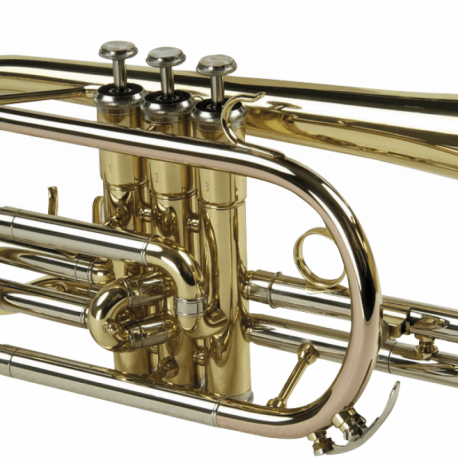 Cornet SML Paris CO50 verni Cornet SML Paris CO50 verni