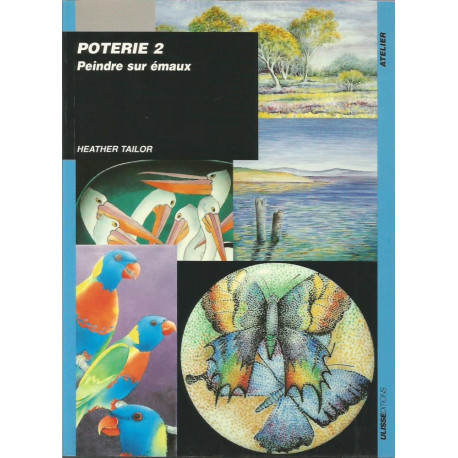 (LIVRESP) LIVRE PORCELAINE PEINDRE SUR EMAUX de Heather TAILOR