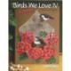 (LIVRESB) LIVRE PEINTURE SUR BOIS BIRDS WE LOVE de Nancy DALE KINNEY