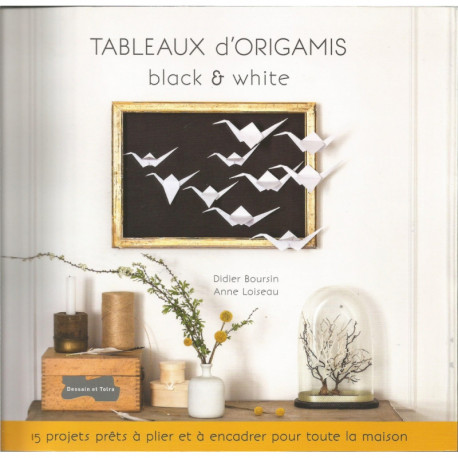 (LIVRESPAPIER) LIVRE TABLEAUX D'ORIGAMIS BLACK & WHITE de Didier Boursin