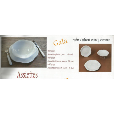 (PORCELAINE) ASSIETTES PORCELAINE SERIE GALA (PORCELAINE) ASSIETTES PORCELAINE SERIE GALA