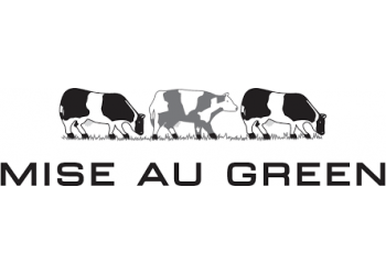 MISE AU GREEN - LES GALERIES